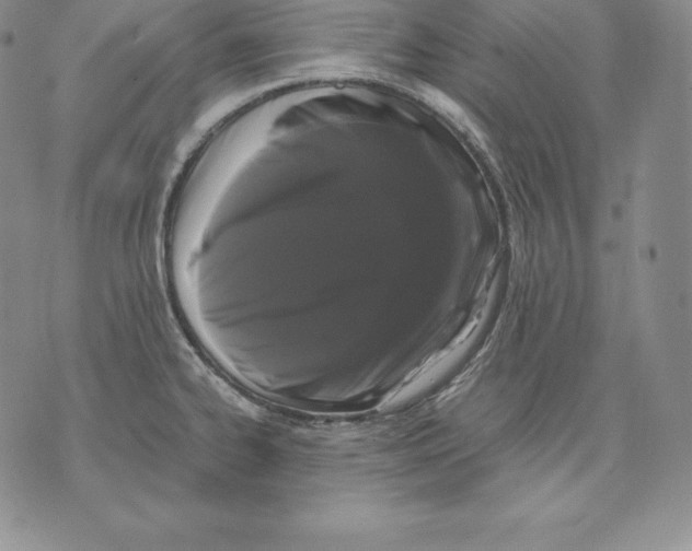 X0000071781334200607282228