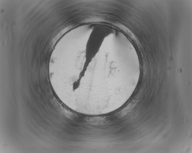 X0000071781337200607282228