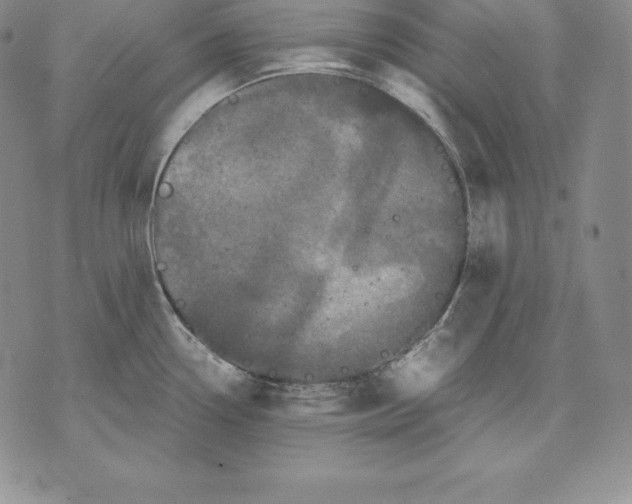 X0000071781338200607282228