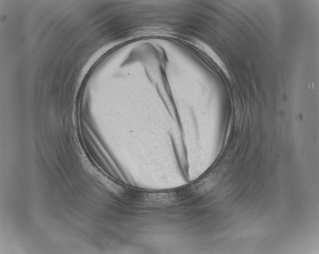 X0000071781339200607282228