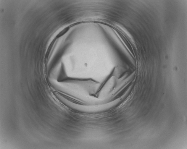 X0000071781340200607282228