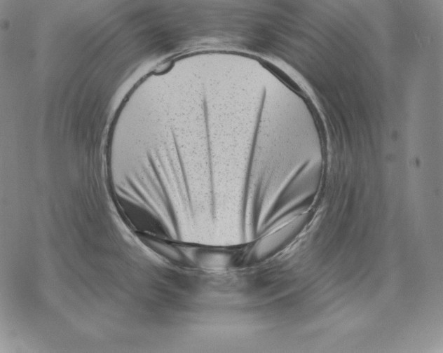 X0000071781341200607282228