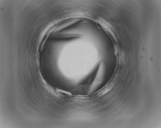 X0000071781342200607282228