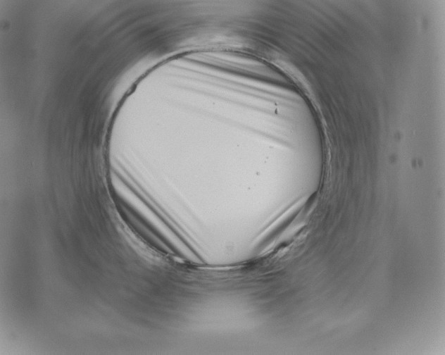 X0000071781344200607282229