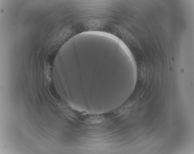 X0000071781346200607282228