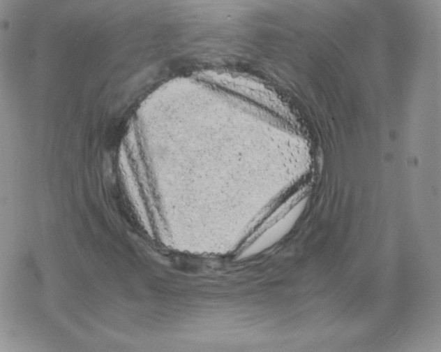 X0000071781347200607282228