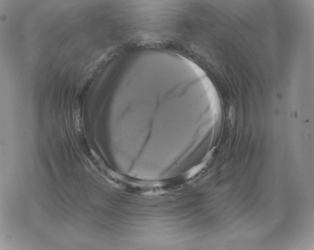 X0000071781348200607282228