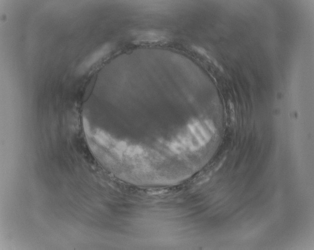 X0000071781350200607282228