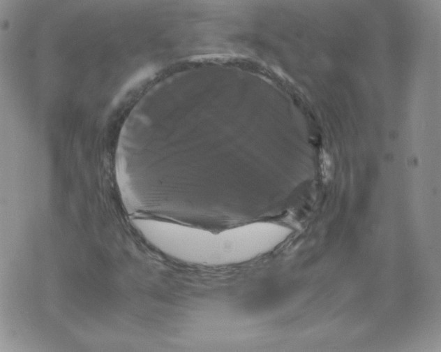 X0000071781351200607282228