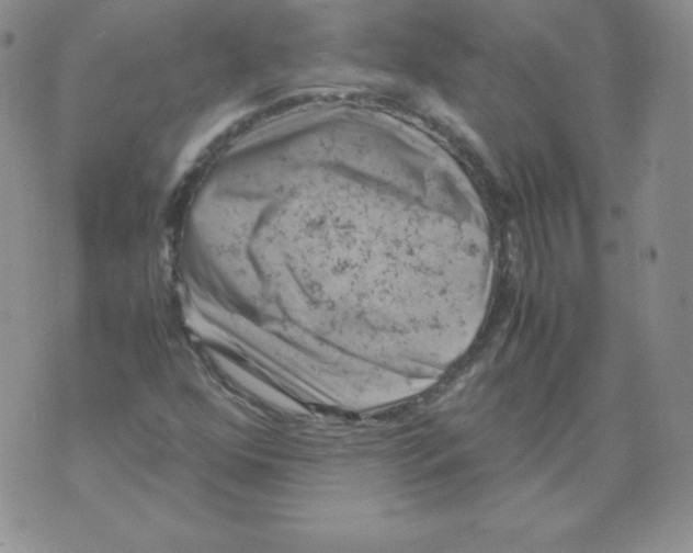 X0000071781352200607282228