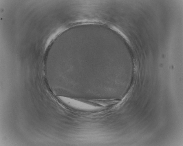 X0000071781357200607282228