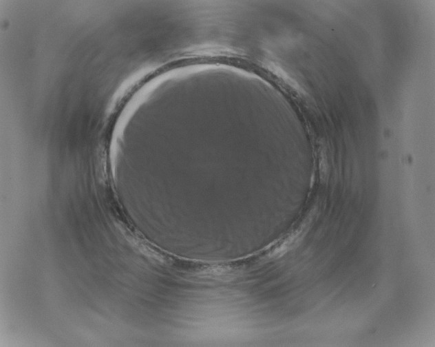 X0000071781358200607282228