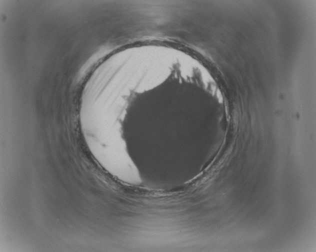 X0000071781359200607282228