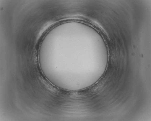 X0000071781360200607282227