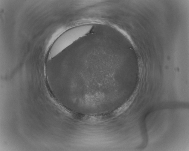 X0000071781365200607282227