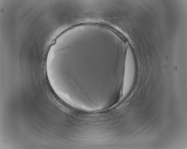 X0000071781367200607282227