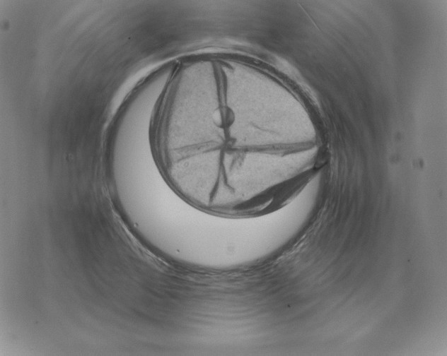 X0000071781368200607282227