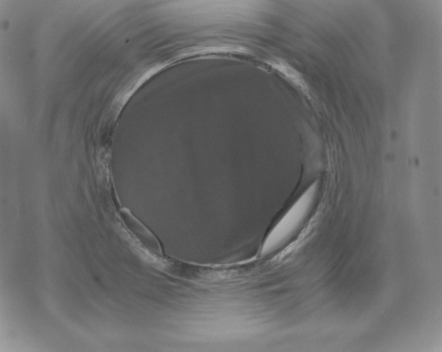 X0000071781369200607282227