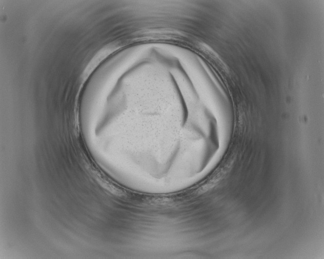 X0000071781370200607282227