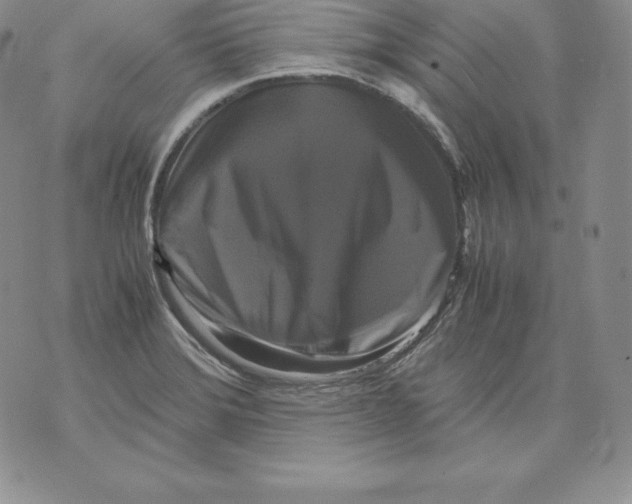 X0000071781372200607282227