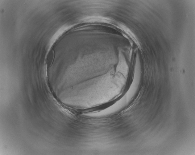 X0000071781376200607282227