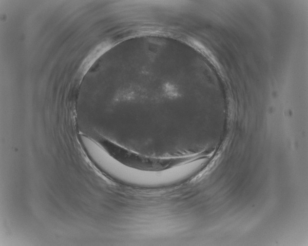 X0000071781377200607282227