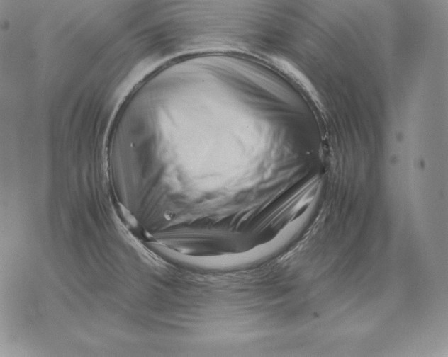 X0000071781380200607282227