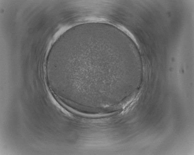 X0000071781381200607282227