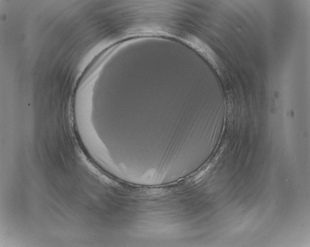 X0000071781382200607282227