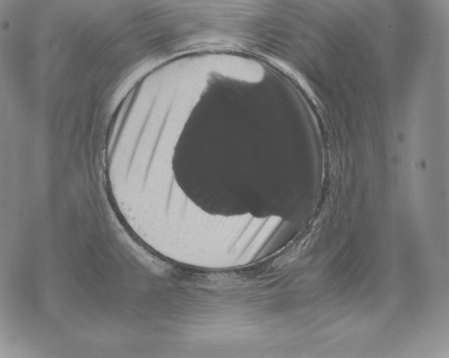 X0000071781383200607282227