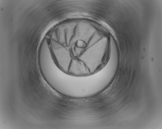 X0000071781384200607282227