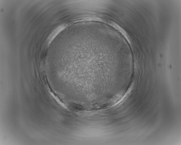 X0000071781385200607282227