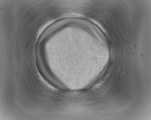 X0000071781387200607282227