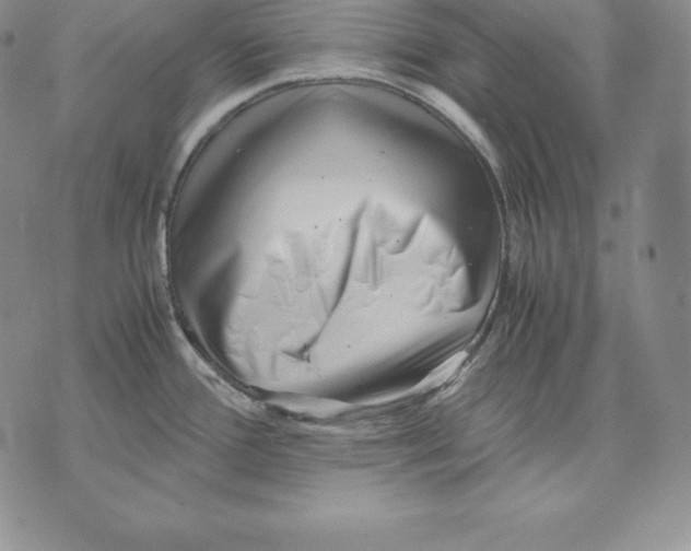 X0000071781388200607282227