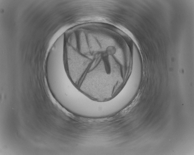 X0000071781389200607282227