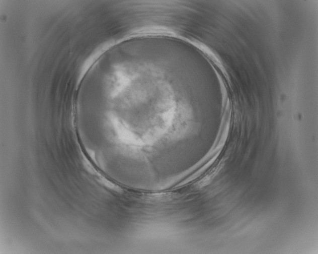 X0000071781390200607282227