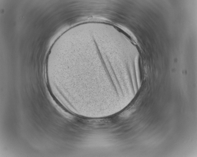 X0000071781391200607282227