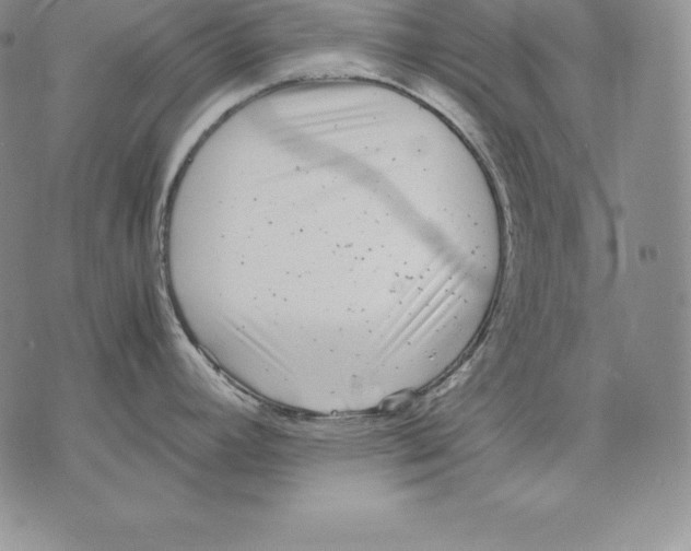 X0000071781392200607282227