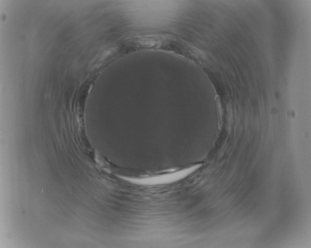 X0000071781394200607282226