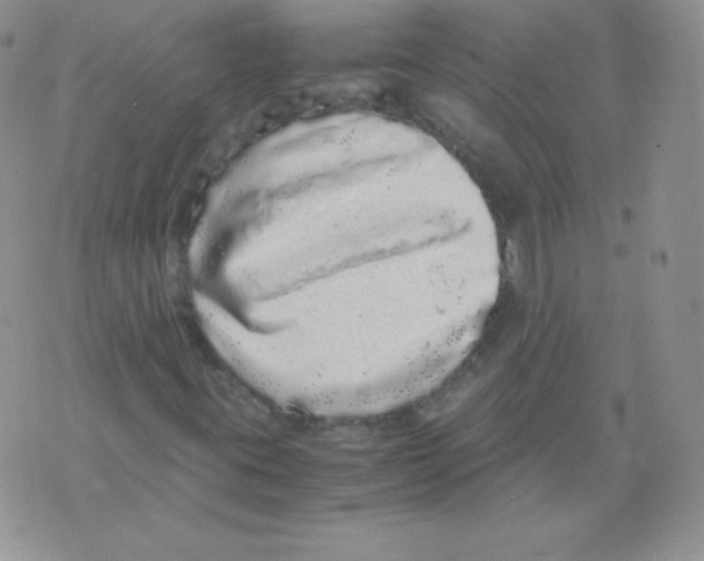 X0000071781395200607282226