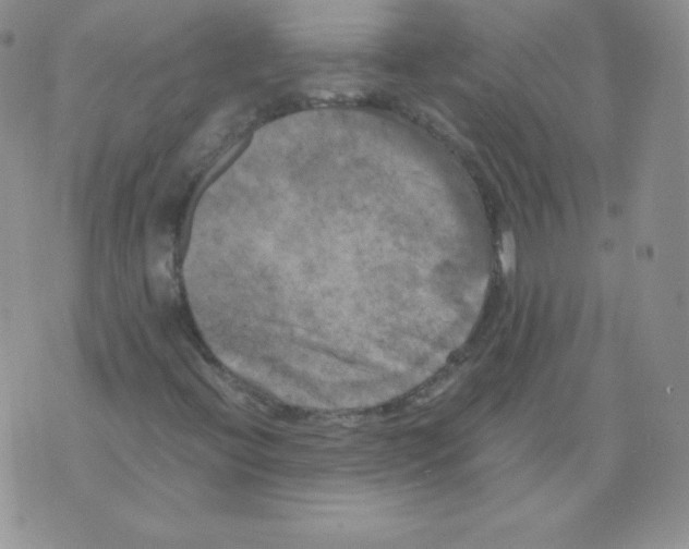 X0000071781396200607282226