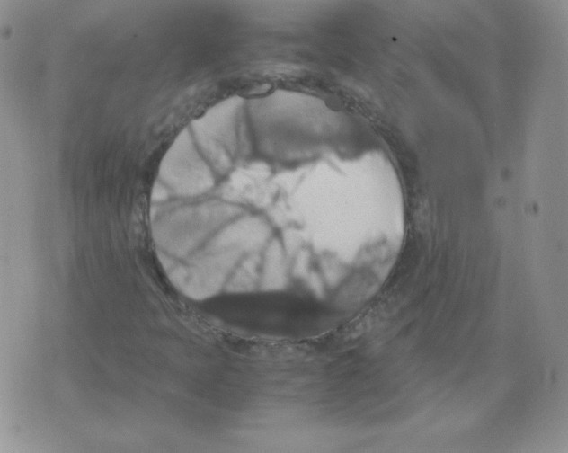 X0000071781397200607282226