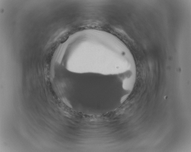 X0000071781399200607282226