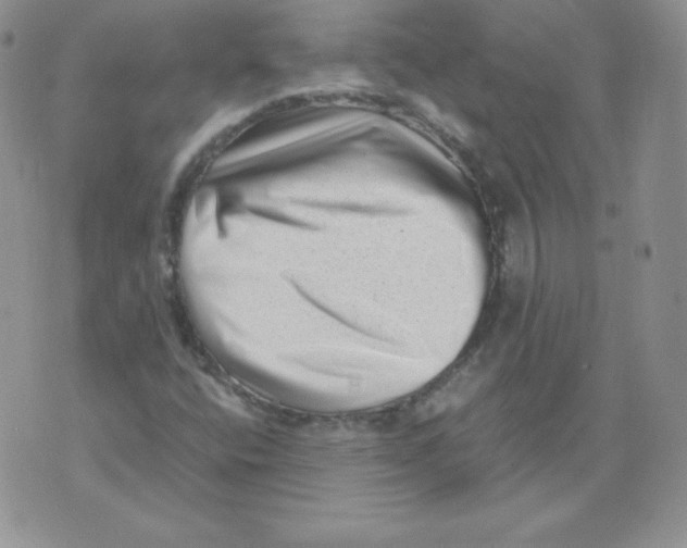 X0000071781400200607282226