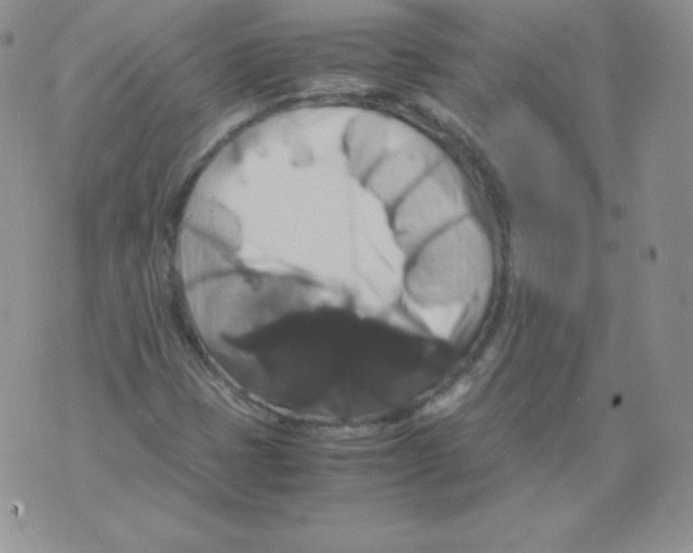 X0000071781401200607282226