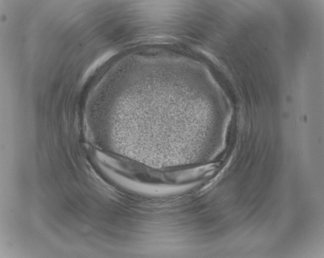 X0000071781402200607282226