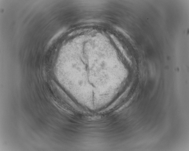 X0000071781403200607282226