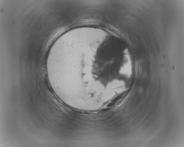 X0000071781405200607282226