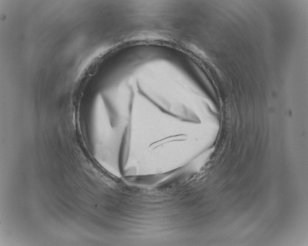 X0000071781408200607282226