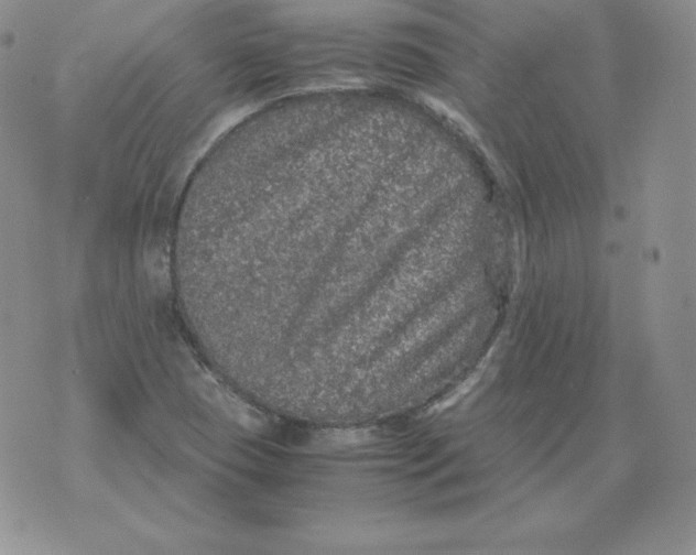 X0000071781409200607282226